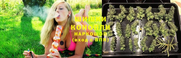 сатива Майский