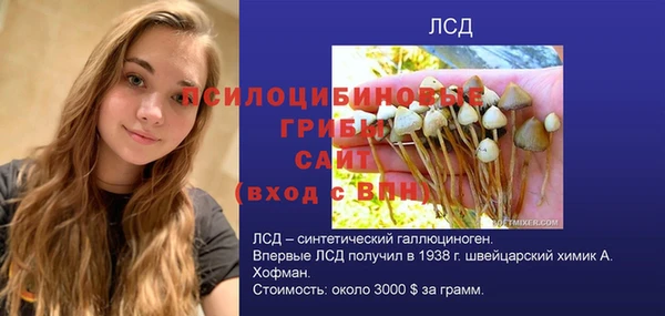сатива Майский